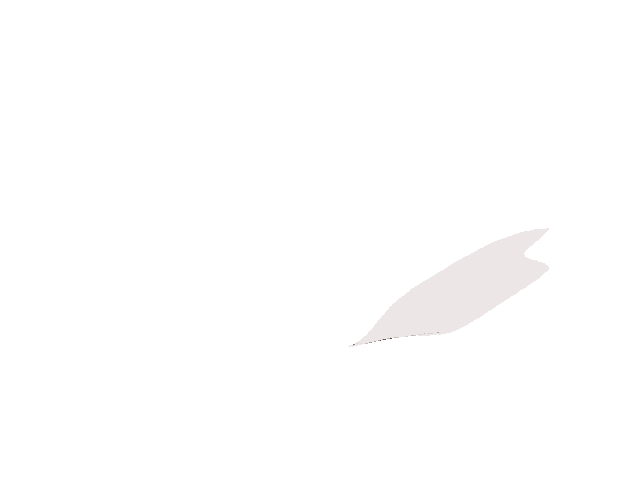 カカトサイド