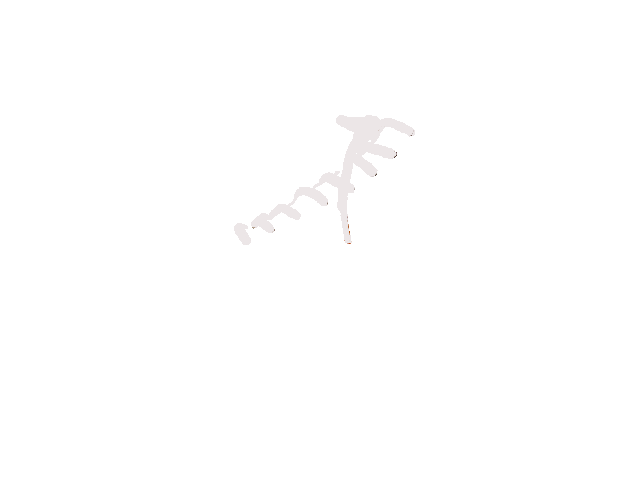 紐