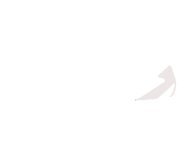 カカトB