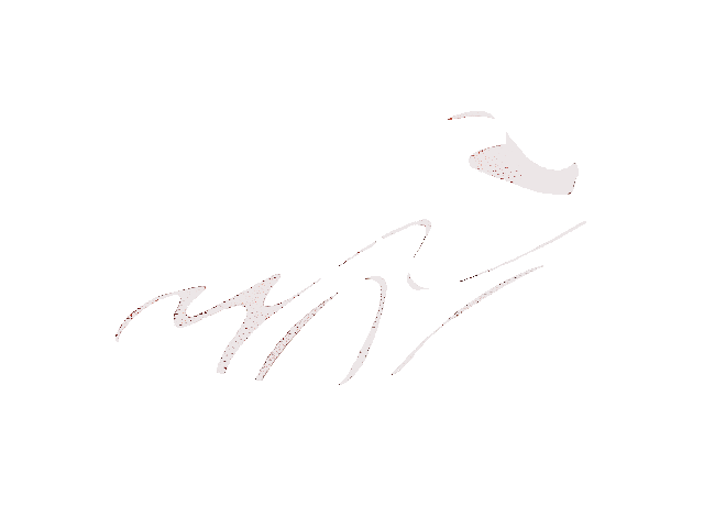 メッシュ